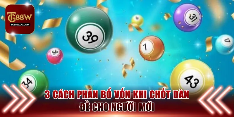 3 cách phân bổ vốn khi chốt dàn đề cho người mới