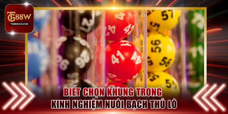 Biết chọn khung trong kinh nghiệm nuôi bạch thủ lô