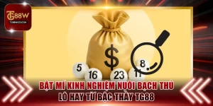 Kinh nghiệm nuôi bạch thủ lô